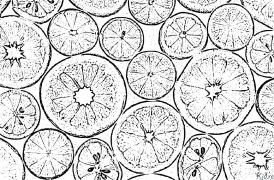 grapefruit Coloring Pages To Print